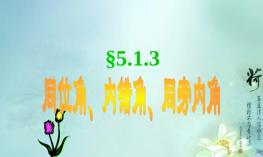 中学七年级数学下册(7.2与三角形有关的角-同位角内错角同旁内角)课件 新人教版 课件
