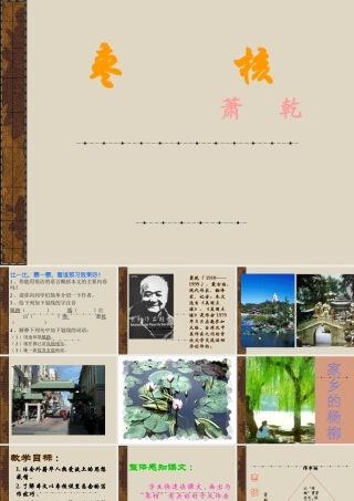 八年级语文枣核课件4苏教版 课件