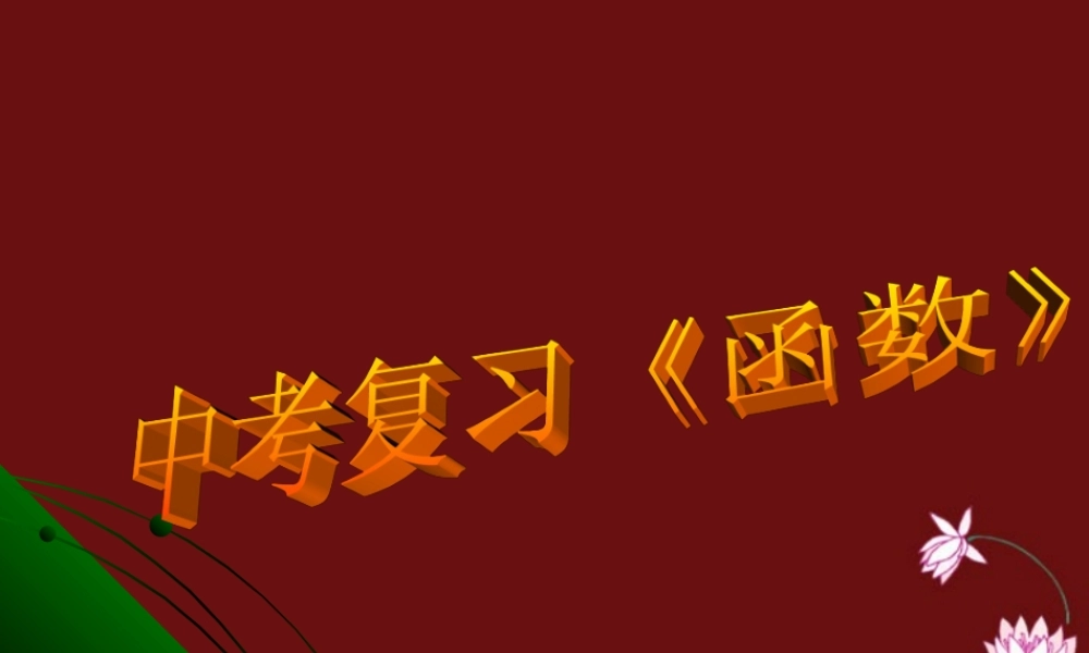 中考数学复习函数 试题