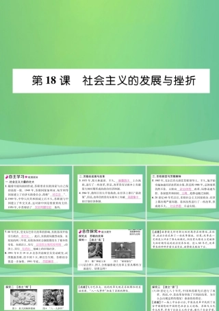 九年级历史下册 第5单元 冷战和苏美对峙的世界 第18课 社会主义的发展与挫折自主学习课件 新人教版 课件