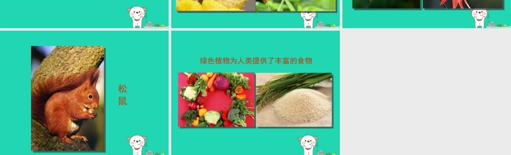 七年级生物上册 2.3.1(多种多样的生态系统)生产者绿色植物为其他生物提供基本食物来源素材 (新版)苏科版 素材