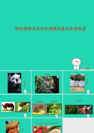 七年级生物上册 2.3.1(多种多样的生态系统)生产者绿色植物为其他生物提供基本食物来源素材 (新版)苏科版 素材