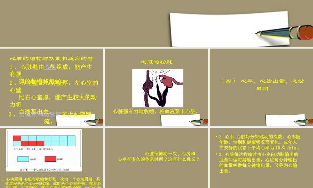 七年级生物下册 心脏的功能—血液运输的动力器官课件 苏教版 课件