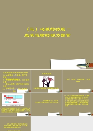 七年级生物下册 心脏的功能—血液运输的动力器官课件 苏教版 课件