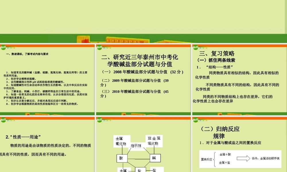 中考化学复习专题二  认识酸、碱、盐课件