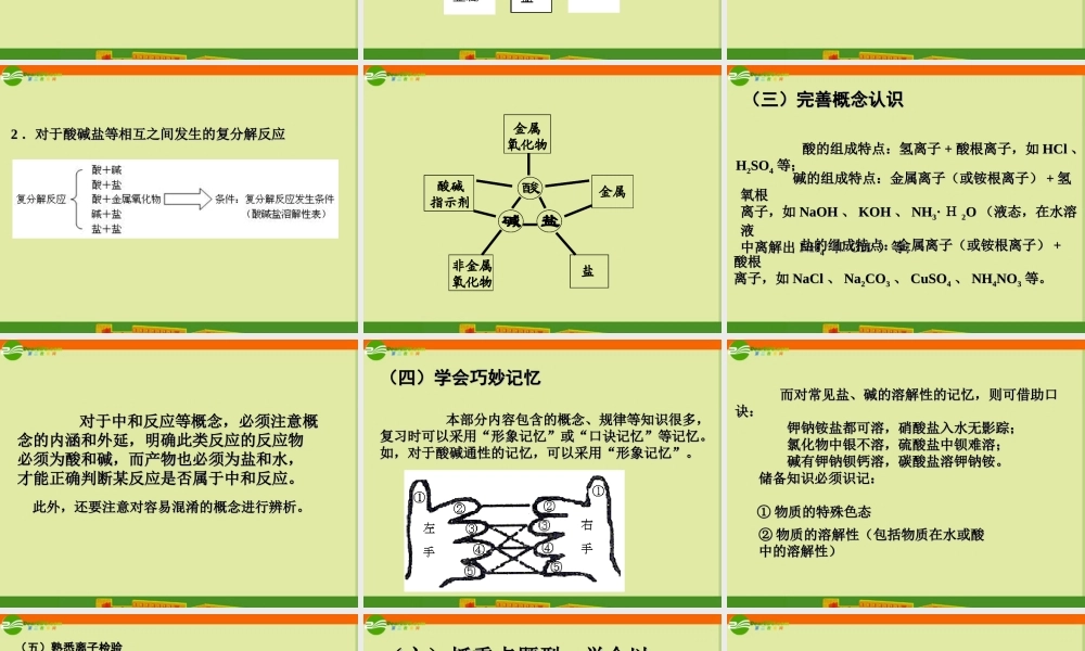 中考化学复习专题二  认识酸、碱、盐课件