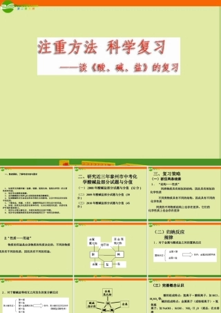 中考化学复习专题二  认识酸、碱、盐课件