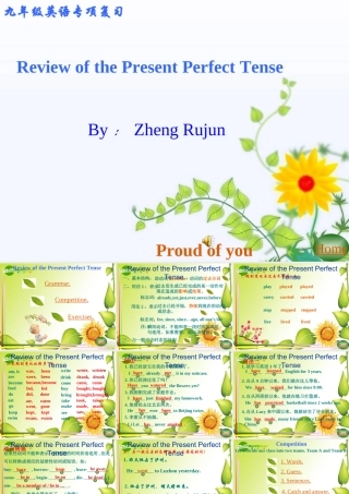 九年级英语Review of the Present Perfect Tense课件人教版 课件