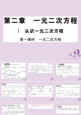 九年级数学上册 2(一元二次方程)1 认识一元二次方程 第1课时 一元二次方程习题课件 (新版)北师大版 课件