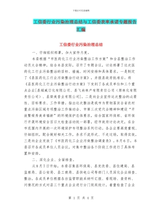工信委行业污染治理总结与工信委表率承诺专题报告汇编