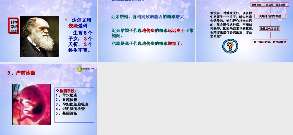 八年级生物上册 遗传病和优生优育课件 苏教版 课件