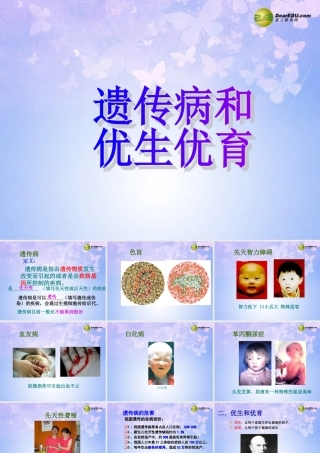 八年级生物上册 遗传病和优生优育课件 苏教版 课件