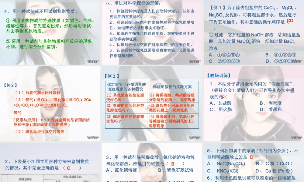 初三化学增进对科学探究的理解 课件