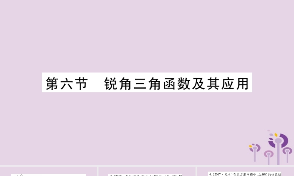 中考数学复习 第一轮 考点系统复习 第4章 三角形 第6节 锐角三角函数及其应用习题课件