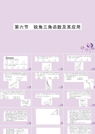 中考数学复习 第一轮 考点系统复习 第4章 三角形 第6节 锐角三角函数及其应用习题课件