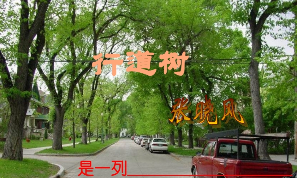 七年级语文上册 第7课(短文两篇)之行道树课件 人教新课标版 课件