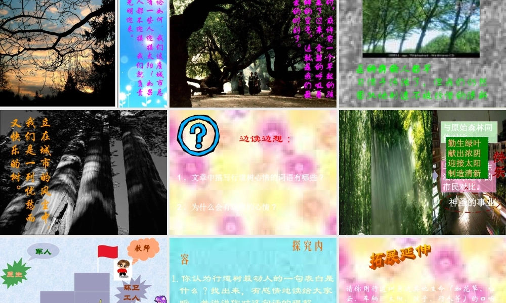 七年级语文上册 第7课(短文两篇)之行道树课件 人教新课标版 课件