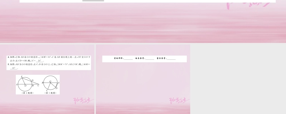 九年级数学上册 241 圆的有关性质 2411 圆练习课件 (新版)新人教版 课件