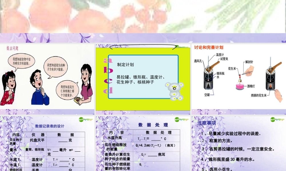 七年级生物上册 测定某种食物中的能量课件 人教新课标版 课件