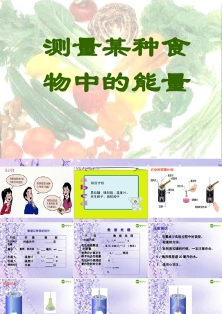 七年级生物上册 测定某种食物中的能量课件 人教新课标版 课件