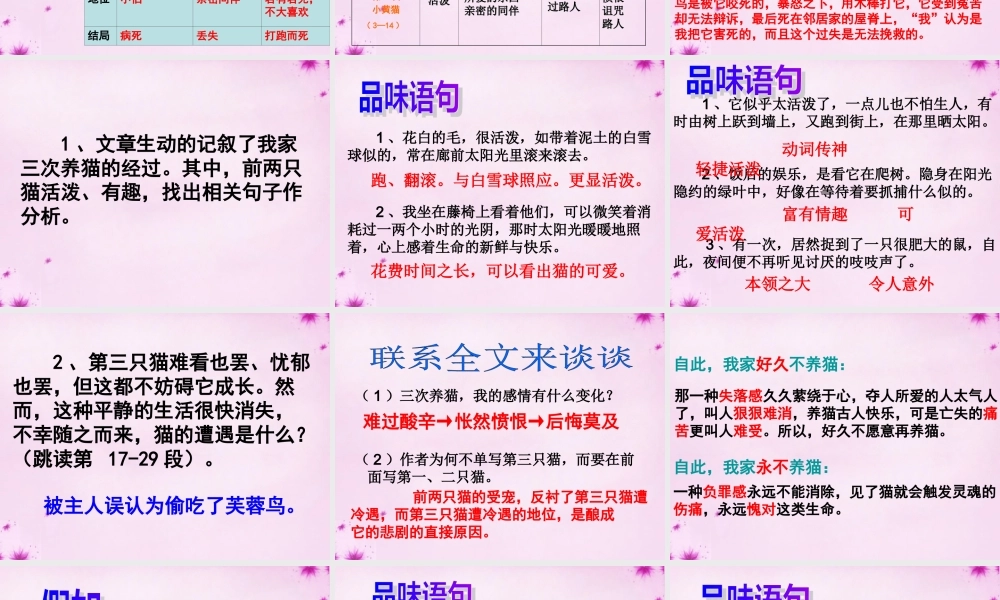 七年级语文下册 第26课(猫)课件 新人教版 课件