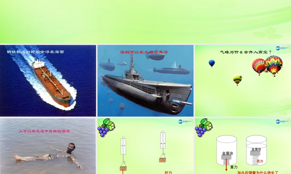 中学八年级物理全册 9.2 阿基米德原理课件 (新版)沪科版 课件