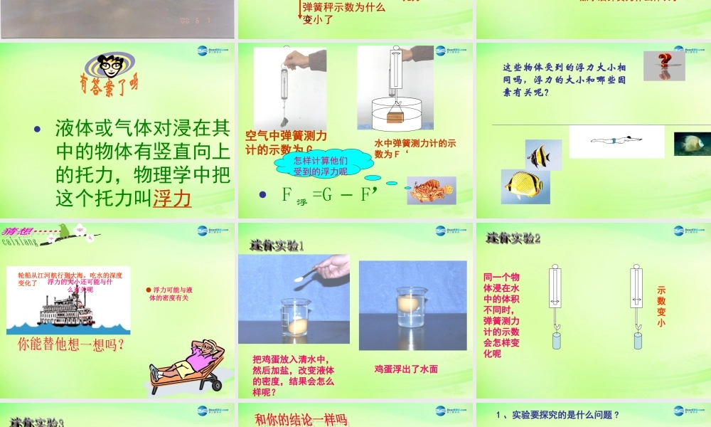 中学八年级物理全册 9.2 阿基米德原理课件 (新版)沪科版 课件