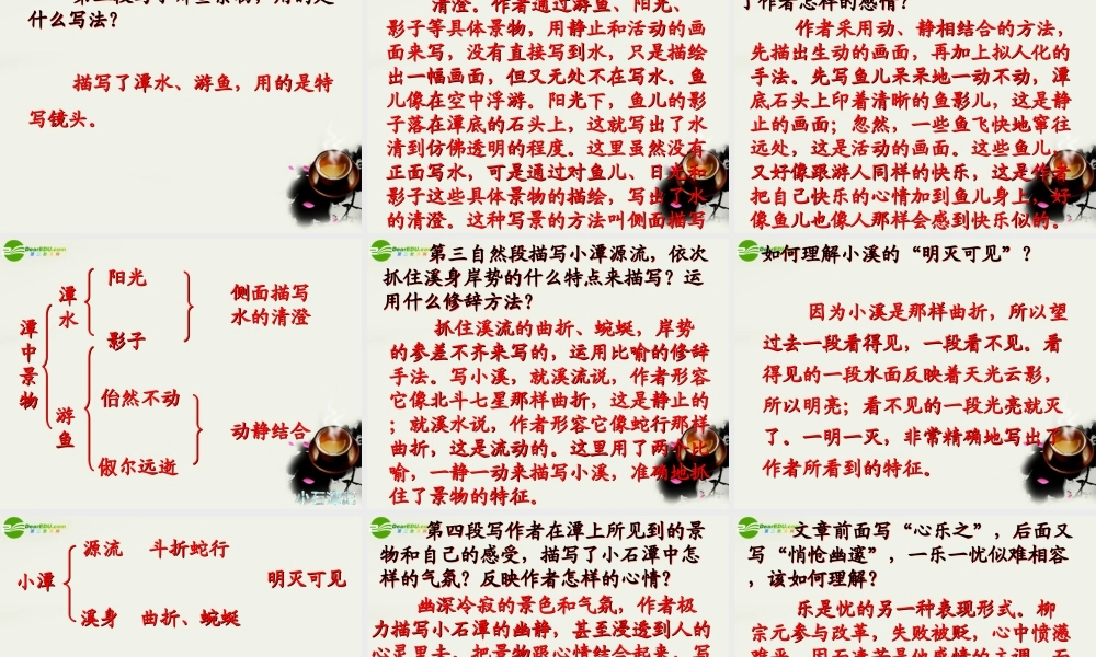 八年级语文上册(小石潭记)课件2 北师大版 课件