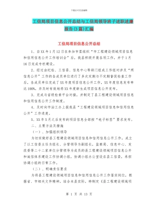 工信局项目信息公开总结与工信局领导班子述职述廉报告汇编