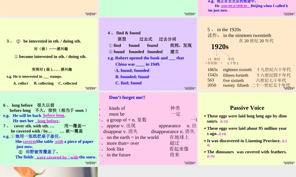 九年级英语Lesson38课件