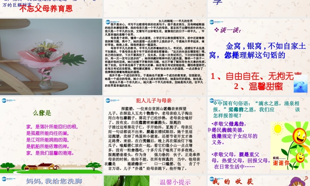 八年级政治上册 第1课 家 温馨的港湾课件 鲁教版 课件