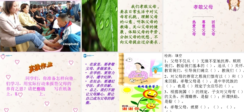 八年级政治上册 第1课 家 温馨的港湾课件 鲁教版 课件