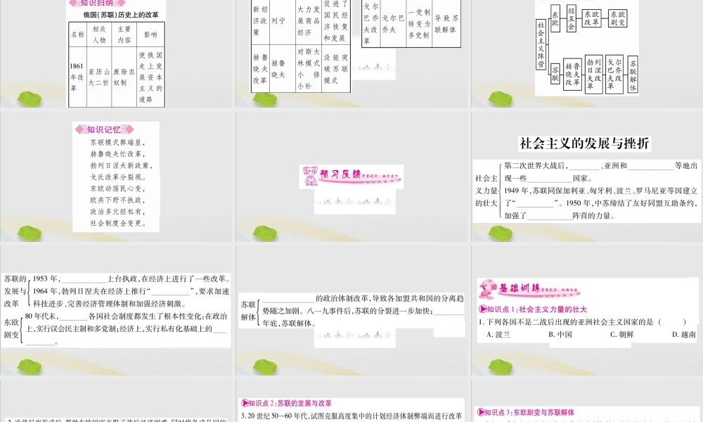 九年级历史下册 第五单元 冷战和美苏对峙的世界 第18课 社会主义的发展与挫折习题课件 新人教版 课件