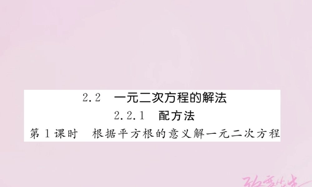 九年级数学上册 221 配方法(第1课时)根据平方根的意义解一元二次方程练习课件 (新版)湘教版 课件