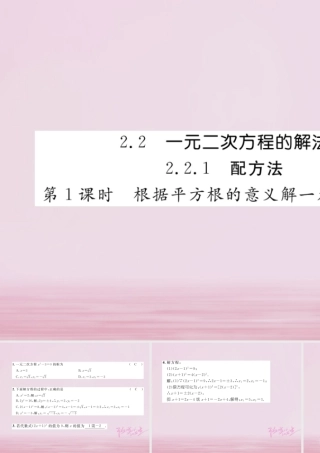 九年级数学上册 221 配方法(第1课时)根据平方根的意义解一元二次方程练习课件 (新版)湘教版 课件