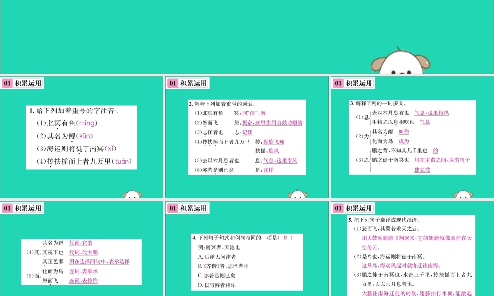 八年级语文下册 第六单元 21(庄子)二则 第1课时 北冥有鱼课件 新人教版 课件