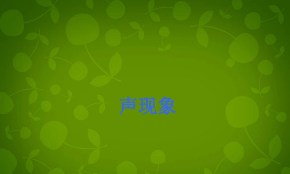 山东省东营市河口区实验学校八年级物理上册 第二章 声现象复习课件 (新版)新人教版 课件