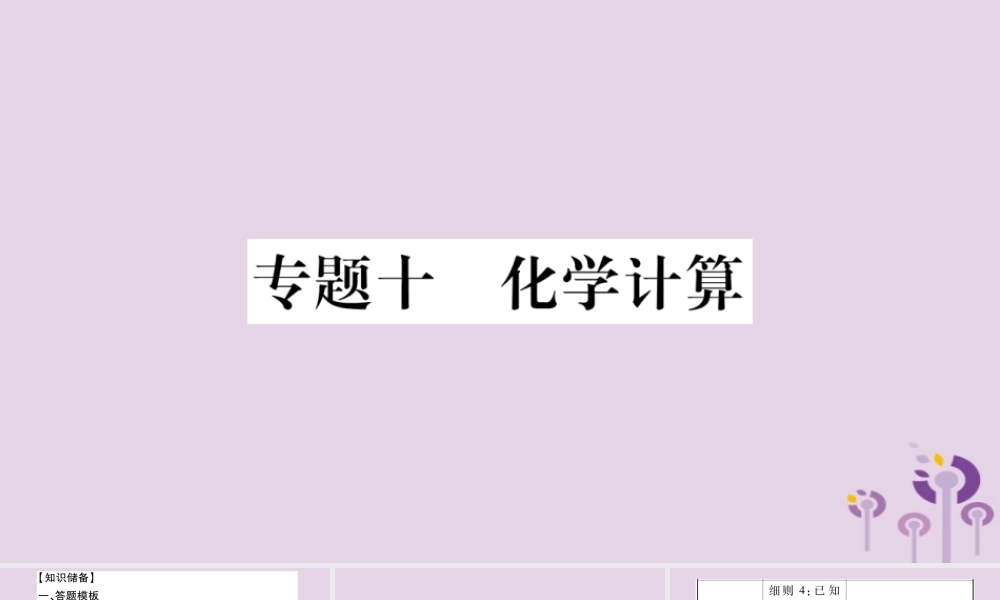 中考化学复习 第二部分 重难题型专题突破 专题十 化学计算(精讲)课件