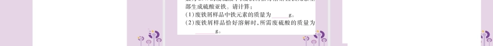 中考化学复习 第二部分 重难题型专题突破 专题十 化学计算(精讲)课件