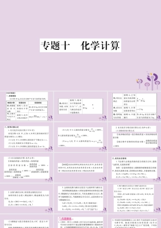 中考化学复习 第二部分 重难题型专题突破 专题十 化学计算(精讲)课件