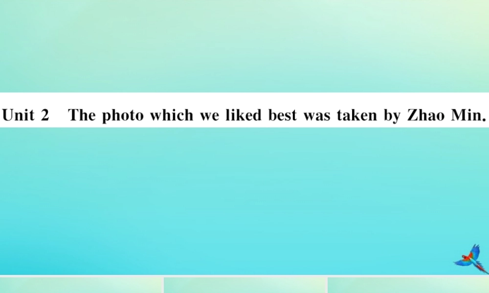 九年级英语上册 Module 11 Photos Unit 2 The photo which we liked best was taken by Zhao Min(小册子)习题课件 (新版)外研版 课件