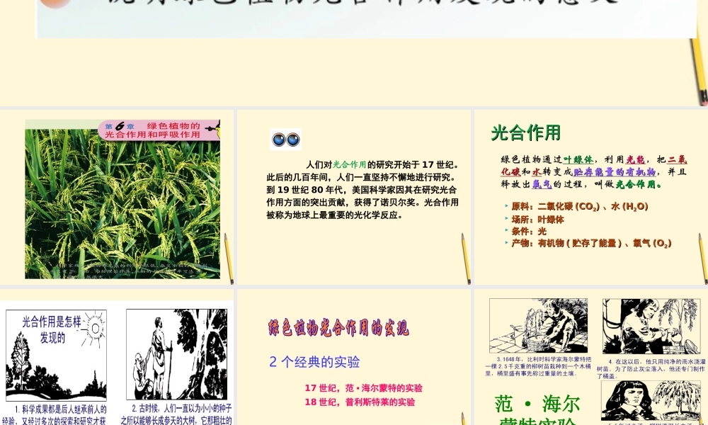 七年级生物上册(植物光合作用的发现)课件 苏教版 课件