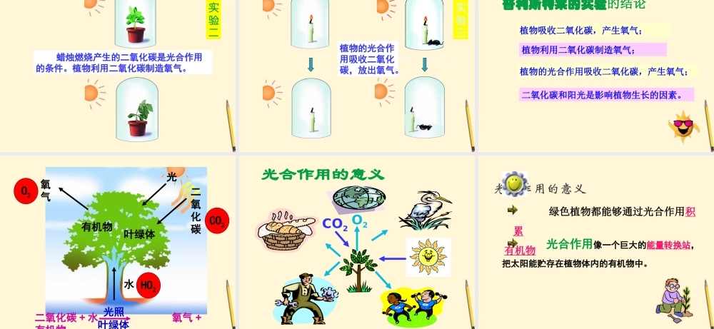七年级生物上册(植物光合作用的发现)课件 苏教版 课件