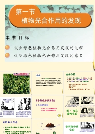 七年级生物上册(植物光合作用的发现)课件 苏教版 课件