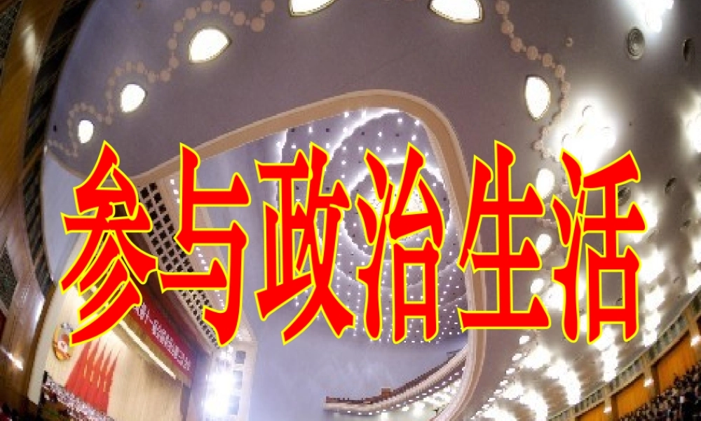 九年级政治 第六课(参与政治生活) 课件 人教新课标版 课件