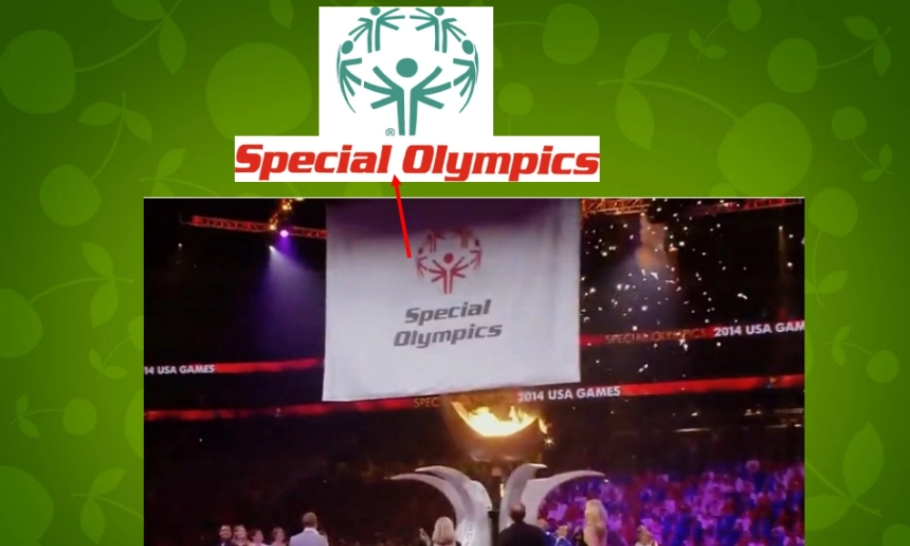 八年级英语下册 Unit 6 Sunshine for all Reading 1课件 (新版)牛津版 课件