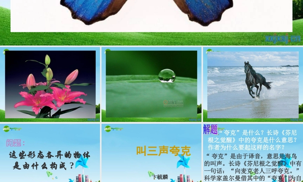 八年级语文下册 (叫三声夸克)优秀实用课件 苏教版 课件