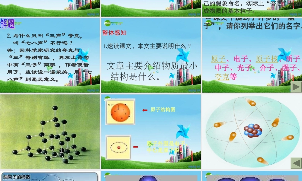 八年级语文下册 (叫三声夸克)优秀实用课件 苏教版 课件