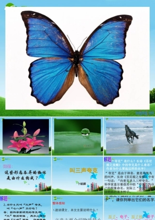 八年级语文下册 (叫三声夸克)优秀实用课件 苏教版 课件