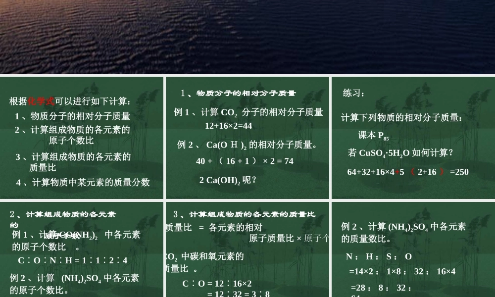 化学式的有关计算九年级化学课件 新课标 人教版 课件